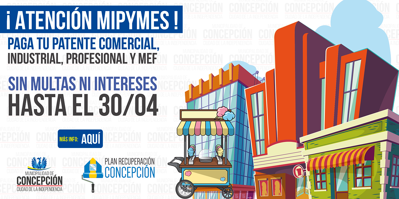 Mi Pyme