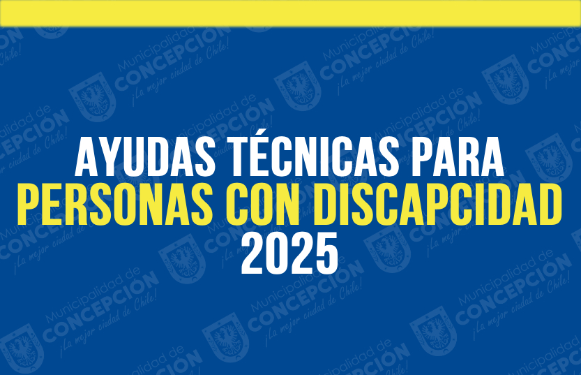 AYUDAS-TECNICAS-2025