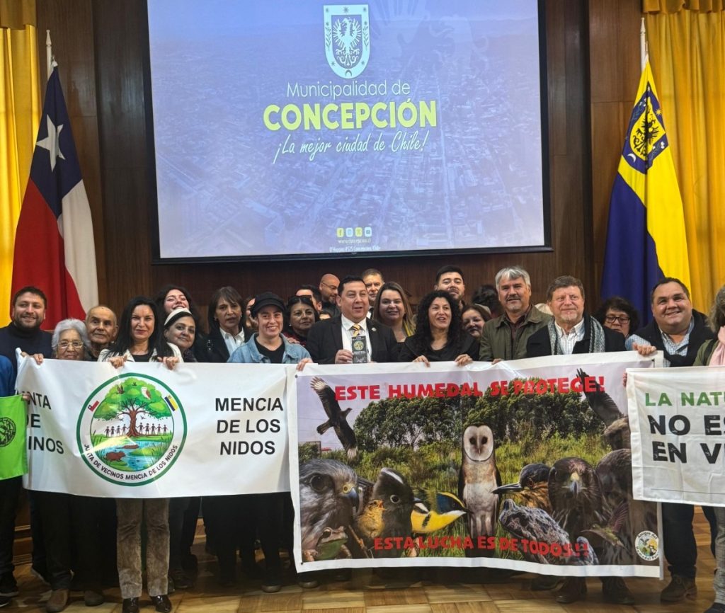 Municipio penquista presentó recurso de protección por humedal Paicaví