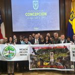 Municipio penquista presentó recurso de protección por humedal Paicaví